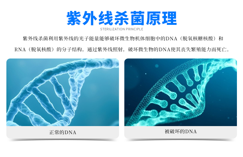 详情页20211023_08.jpg